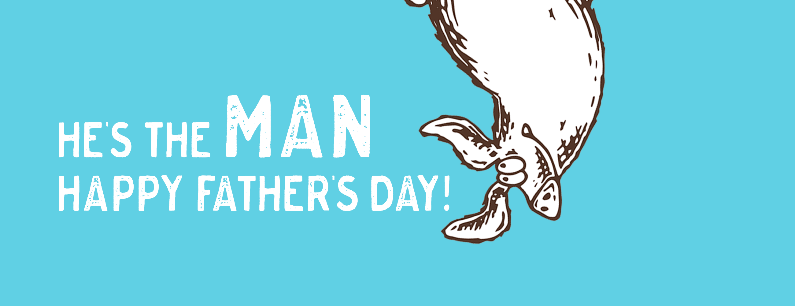 Homepage Ethical Chocolate by Truffle Pig Truffle Pig Chocolate